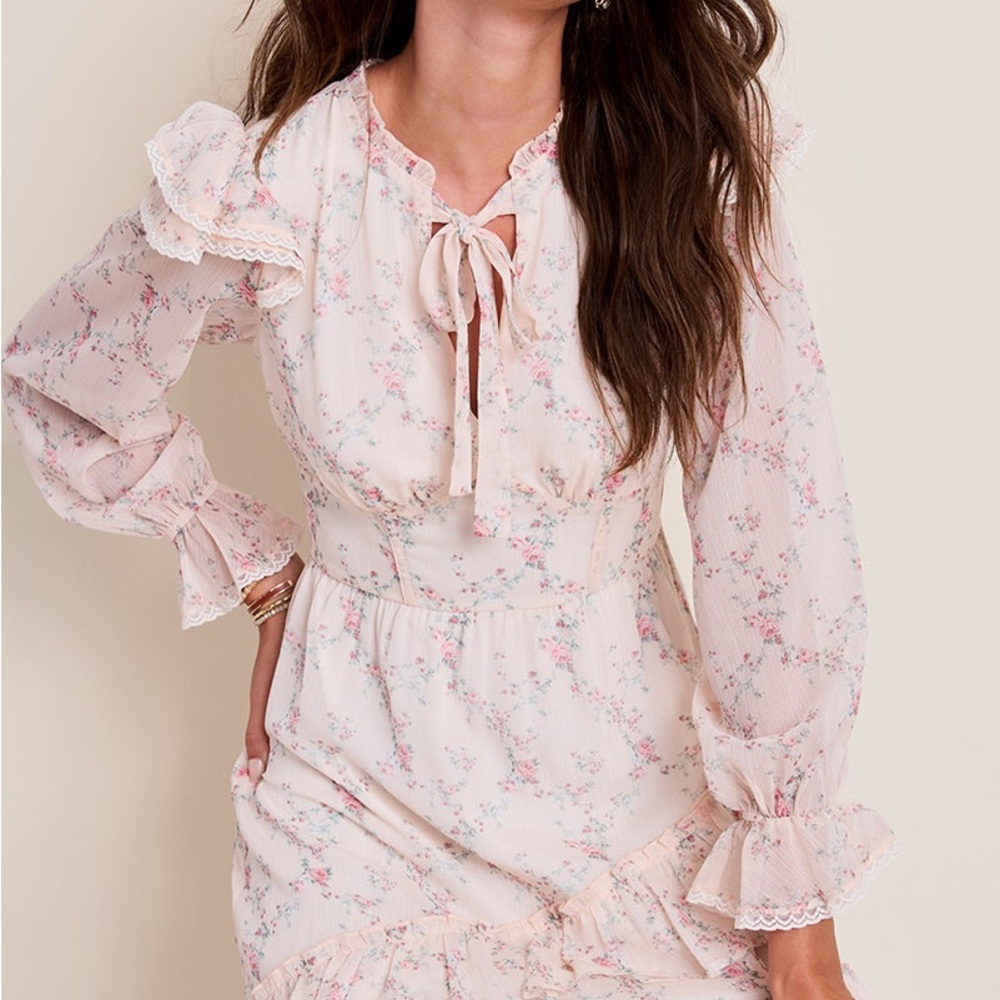 Francesca's Collections Pale Pink Floral Tie-Front Ruffle Dress